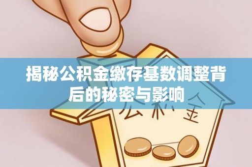 湘阴揭秘公积金缴存基数调整背后的秘密与影响