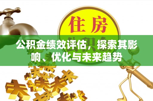 湘阴公积金绩效评估，探索其影响、优化与未来趋势