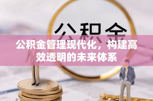 湘阴公积金管理现代化，构建高效透明的未来体系